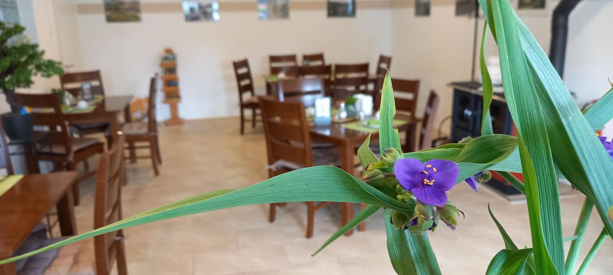 Gaestehaus Wohngut Eisenach Buitenkant foto